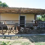Azienda Agrituristica Vivi Natura