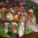 Agriturismo Nonno Tobia