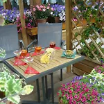 Hotel Villa Alpina ***S