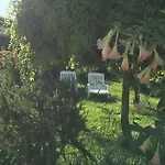 B&B A Casa Di Picci