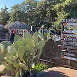 Appartamenti Vacanze Marina Di Bibbona