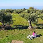 1 Bedroom Gorgeous Apartment In Zambrone