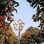 La Perla Al Lago 47