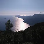 Radici
