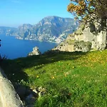 Radici