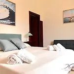 B&B Hibiscus