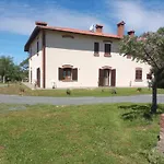 Podere Feltrino