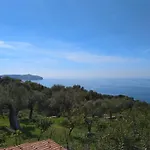 La Gatta E La Volpe