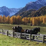 Bad Moos Dependance 