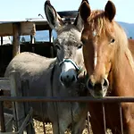 Il Giogo Agriturismo