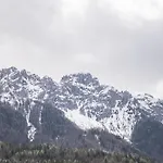 Wachtler Dolomite Apartments