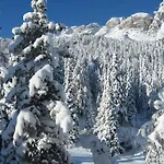 Hotel Garni Elisir