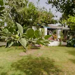 Le Querce