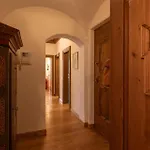 Casa Ciclamino, Direttamente Sul Corso Di Cortina Dampezzo
