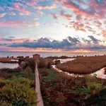 Suite Elegance A Due Passi Dal Mare Con Posto Auto