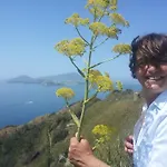 Mary'S Dream - Villa Overlooking Capri And Ischia In Sorrento Peninsula