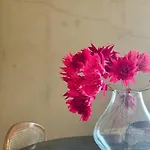 Olivietta Suite