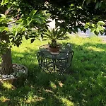 Appartamento Il Gelso
