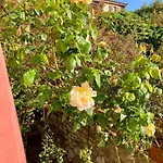 Appartamento Belvedere