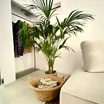 Suite Con Giardino Ravenna