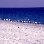 Praialinda