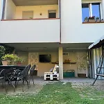 Garden 11