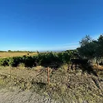 Agriturismo Casale Sasso