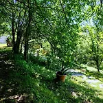 Il Salice Bianco B&B Casa Vacanze