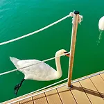 Marina Uno Floating Resort