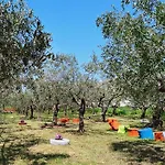Colline Del Sole