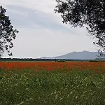 Casa Vacanze Capalbio