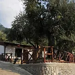 Casa Vacanze Dalisa Ulivo A Con Parcheggio