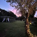 Agriturismo Colle Maiano