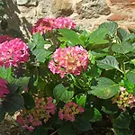 Casa Bubu