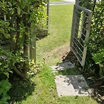 Garden & Pool Perugini