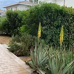 Home Garden