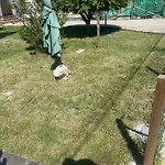 Villa Lidia & Attico Degli Artisti, Free Pets , Giardino Recintato E Attrezzato