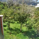 Antelia'S Home