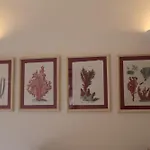 Il Palazzetto Ponza