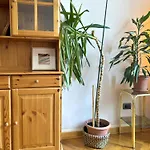 Flat Belpoggio 13
