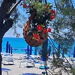 I Delfini