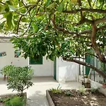 Sunny House
