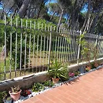 Bibbona Summer - Pineta 1 -