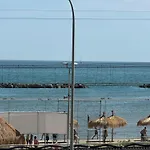 Albicocca