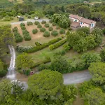Casa Pel Di Lupo