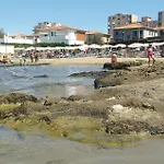 La Selvaccia