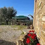 Casa Vacanze La Cascina Di Caterina