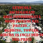 Helloocamp