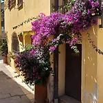 La Cicala