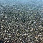 Tra Terra E Mare